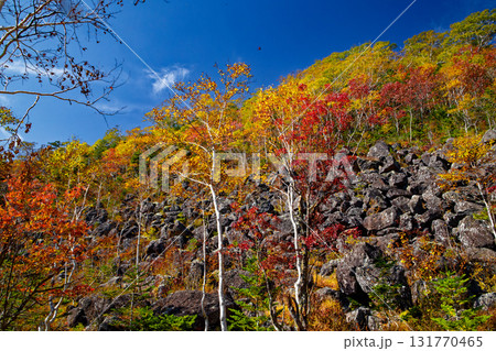 千畳くずれと紅葉 千畳くずれと紅葉 131770465
