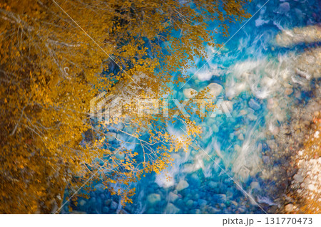 青い川と紅葉 青い川と紅葉 131770473