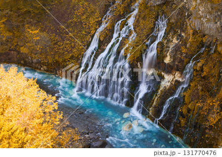 白髭の滝 131770476