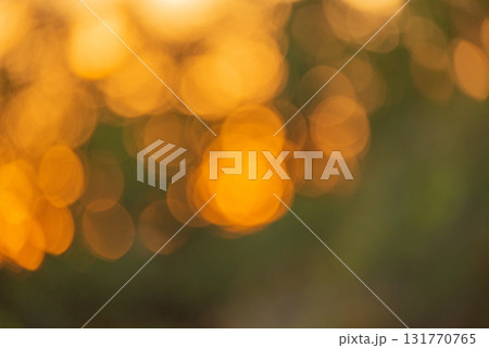 Defocused natural background. Defocused light at sunset nature. 131770765