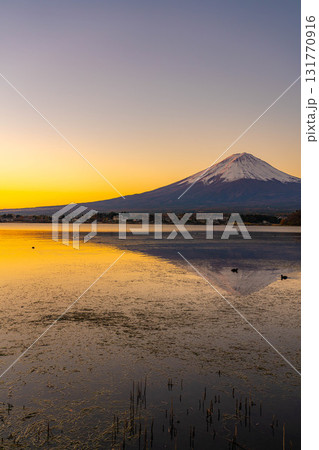 【富士山素材】冬の朝の河口湖から見た富士山【山梨県】 【富士山素材】冬の朝の河口湖から見た富士山【山梨県】 131770916