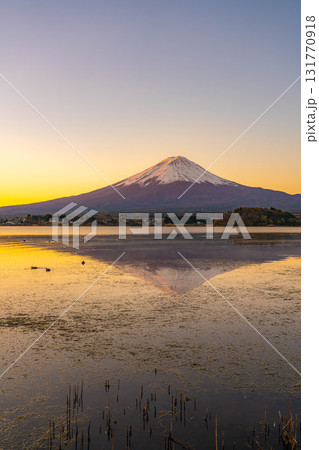 【富士山素材】冬の朝の河口湖から見た富士山【山梨県】 【富士山素材】冬の朝の河口湖から見た富士山【山梨県】 131770918