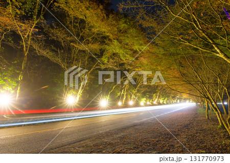 ひさしもみじライトアップと車の光跡（大分県中津市耶馬渓） 131770973
