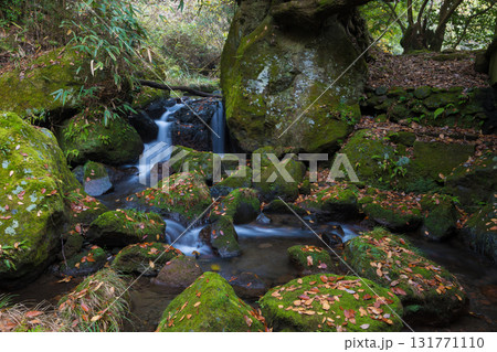 白水の滝の紅葉（大分県竹田市） 131771110