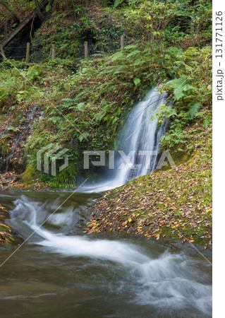 白水の滝の紅葉（大分県竹田市） 131771126
