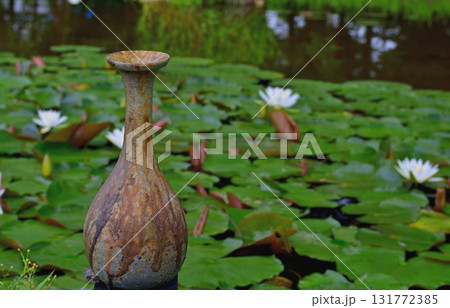 睡蓮の池にて 睡蓮の池にて 131772385