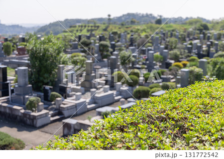 墓地・霊園・お墓 墓地・霊園・お墓 131772542
