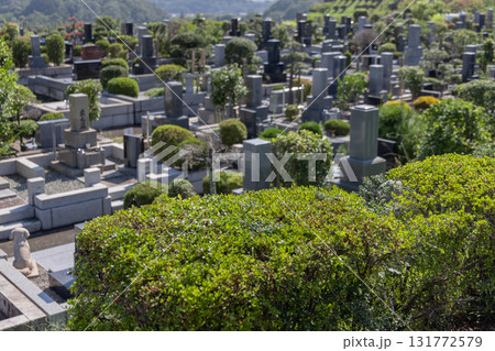 墓地・霊園・お墓 墓地・霊園・お墓 131772579