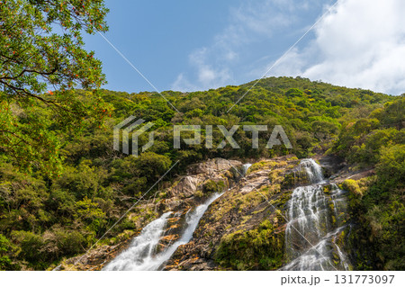 新緑と青空　大川の滝日本の滝百選　屋久島国立公園 131773097