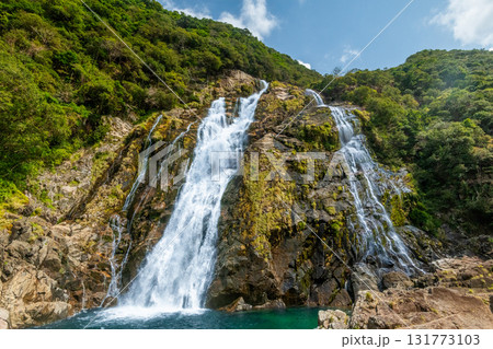 新緑と青空 大川の滝日本の滝百選 屋久島国立公園 新緑と青空 大川の滝日本の滝百選 屋久島国立公園 131773103