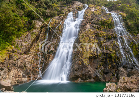 轟音豪快 大川の滝日本の滝百選 屋久島国立公園(春 轟音豪快 大川の滝日本の滝百選 屋久島国立公園(春 131773166