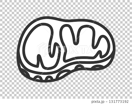 生牛排肉圖示插圖(線條畫) 生牛排肉圖示插圖(線條畫) 131773192