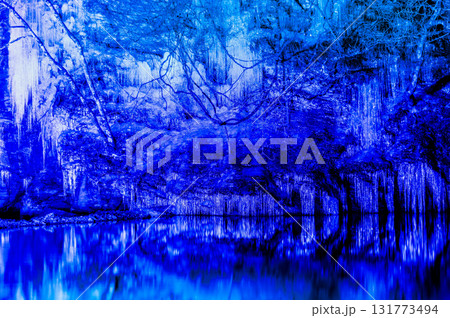 埼玉・秩父　三十槌の氷柱　ライトアップ 131773494