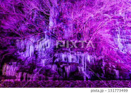 埼玉・秩父　三十槌の氷柱　ライトアップ 131773499
