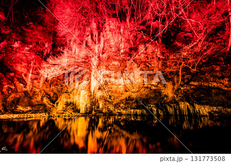 埼玉・秩父　三十槌の氷柱　ライトアップ 131773508