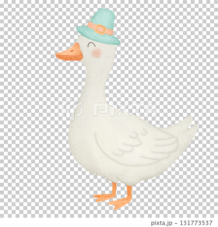 isolated goose on white background isolated goose on white background 131773537