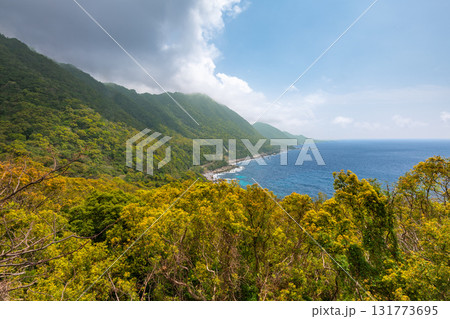 春の青空と新緑 西部林道地域 世界自然遺産屋久島(春 春の青空と新緑 西部林道地域 世界自然遺産屋久島(春 131773695