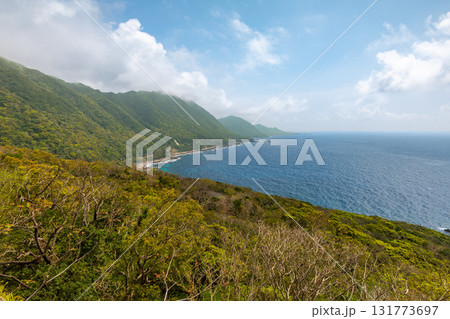 春の青空と新緑　西部林道地域　世界自然遺産屋久島(春 131773697