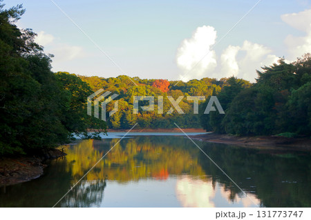 初秋の湖畔 131773747