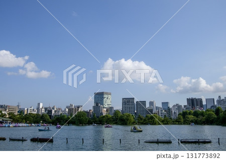 ボート遊びもできる【上野公園　不忍池（しのばずのいけ）】　（東京都台東区） 131773892