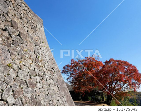 岡城跡の石垣と秋の青空　（大分県竹田市） 131775045