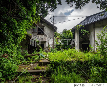 緑で覆われた古びた民家の廃墟 ai生成画像 緑で覆われた古びた民家の廃墟 ai生成画像 131775053