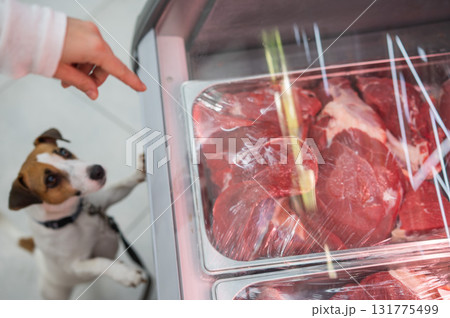 Curious Dog Gazing at Meats in Market Display. Curious Dog Gazing at Meats in Market Display. 131775499