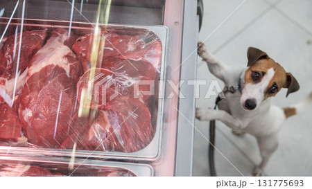 Curious Dog Gazing at Meats in Market Display. Curious Dog Gazing at Meats in Market Display. 131775693