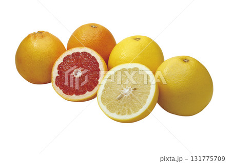 グレープフルーツ2025_02(パス付) グレープフルーツ2025_02(パス付) 131775709