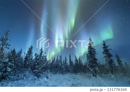雪の森の上に輝くオーロラ 雪の森の上に輝くオーロラ 131776169