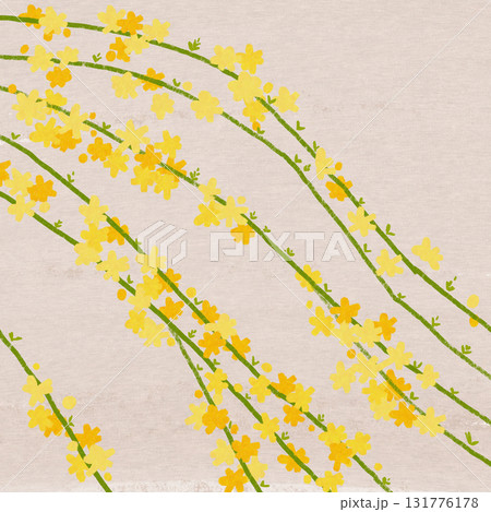 オウバイ(黄梅)の花 オウバイ(黄梅)の花 131776178