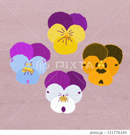 ビオラ、スミレ、パンジーの花 ビオラ、スミレ、パンジーの花 131776184