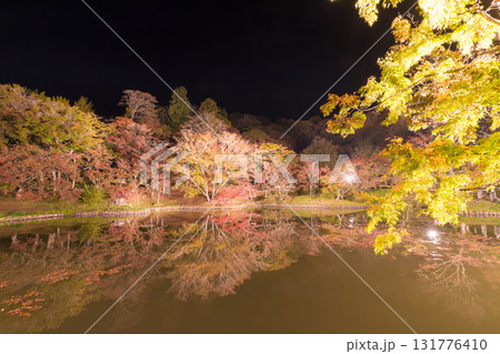 用作公園の紅葉ライトアップ（大分県豊後大野市） 131776410
