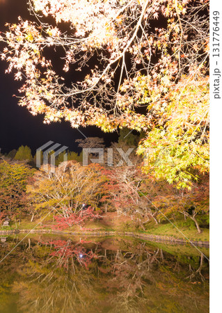 用作公園の紅葉ライトアップ(大分県豊後大野市) 用作公園の紅葉ライトアップ(大分県豊後大野市) 131776449