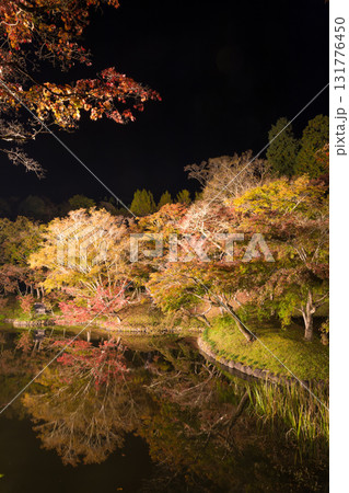 用作公園の紅葉ライトアップ(大分県豊後大野市) 用作公園の紅葉ライトアップ(大分県豊後大野市) 131776450