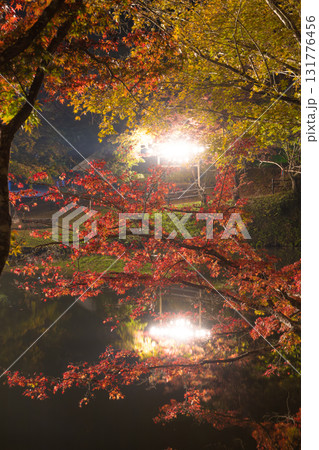 用作公園の紅葉ライトアップ(大分県豊後大野市) 用作公園の紅葉ライトアップ(大分県豊後大野市) 131776456