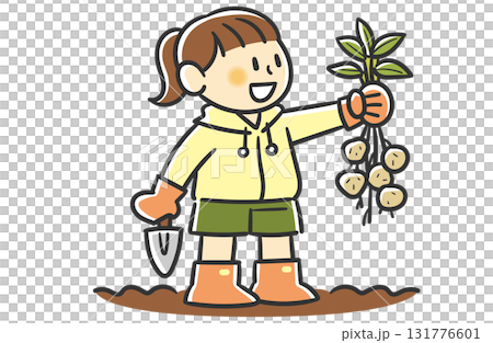 左手で収穫したじゃがいもを持つポニーテールの女の子 131776601
