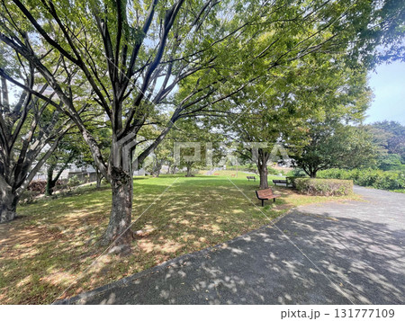 鮎壺の滝公園　静岡県三島市 131777109