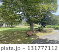 鮎壺の滝公園　静岡県三島市 131777112