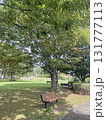 鮎壺の滝公園　静岡県三島市 131777113