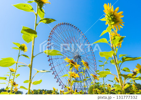 観覧車とひまわり（葛西臨海公園） 131777332