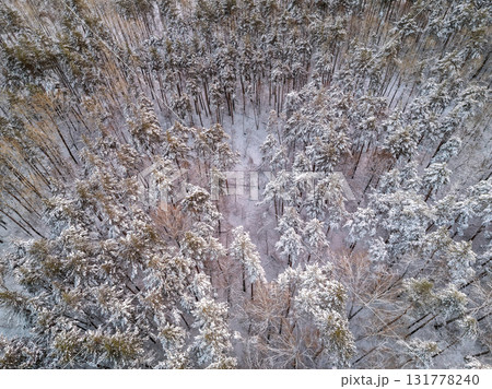 Aerial view of a winter pine forest. Top view of snow-covered pine trees. Beautiful winter forest landscape. Aerial view of a winter pine forest. Top view of snow-covered pine trees. Beautiful winter forest landscape. 131778240