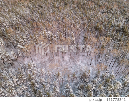 Aerial view of a winter pine forest. Top view of snow-covered pine trees. Beautiful winter forest landscape. Aerial view of a winter pine forest. Top view of snow-covered pine trees. Beautiful winter forest landscape. 131778241
