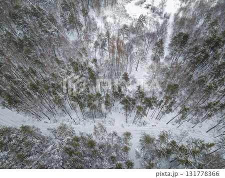 Aerial view of the road in the winter forest with high pine or spruce trees covered by snow. Driving in winter. Aerial view of the road in the winter forest with high pine or spruce trees covered by snow. Driving in winter. 131778366