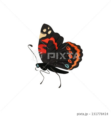Red admiral butterfly. Isolated watercolor illustration for graphic design. Sticker, part of image. Clipart. 131778414