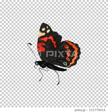 Red admiral butterfly. Isolated watercolor illustration for graphic design. Sticker, part of image. Clipart. 131778414