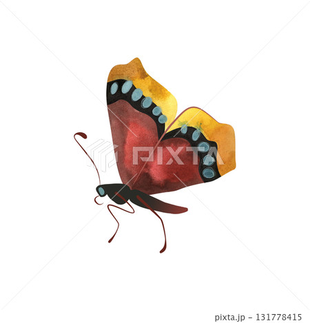 Morning cloak butterfly or Nymphalis antiopa. Isolated watercolor illustration for graphic design. Sticker, part of image. Clipart. 131778415