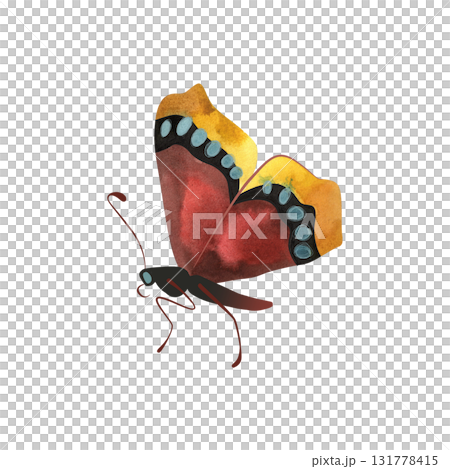 Morning cloak butterfly or Nymphalis antiopa. Isolated watercolor illustration for graphic design. Sticker, part of image. Clipart. 131778415