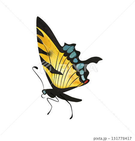 Eastern tiger swallowtail butterfly. Isolated watercolor illustration for graphic design. Sticker, part of image. Clipart. Eastern tiger swallowtail butterfly. Isolated watercolor illustration for graphic design. Sticker, part of image. Clipart. 131778417