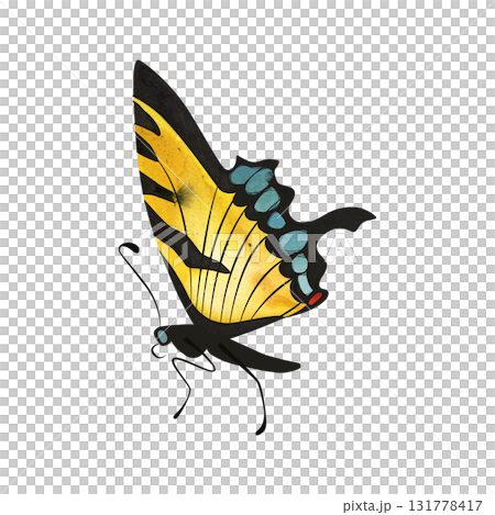 Eastern tiger swallowtail butterfly. Isolated watercolor illustration for graphic design. Sticker, part of image. Clipart. Eastern tiger swallowtail butterfly. Isolated watercolor illustration for graphic design. Sticker, part of image. Clipart. 131778417